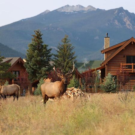 Chic Retreat Indoor Outdoor Fireplace, Private Jacuzzi, Great Location! Estes Park Exterior photo